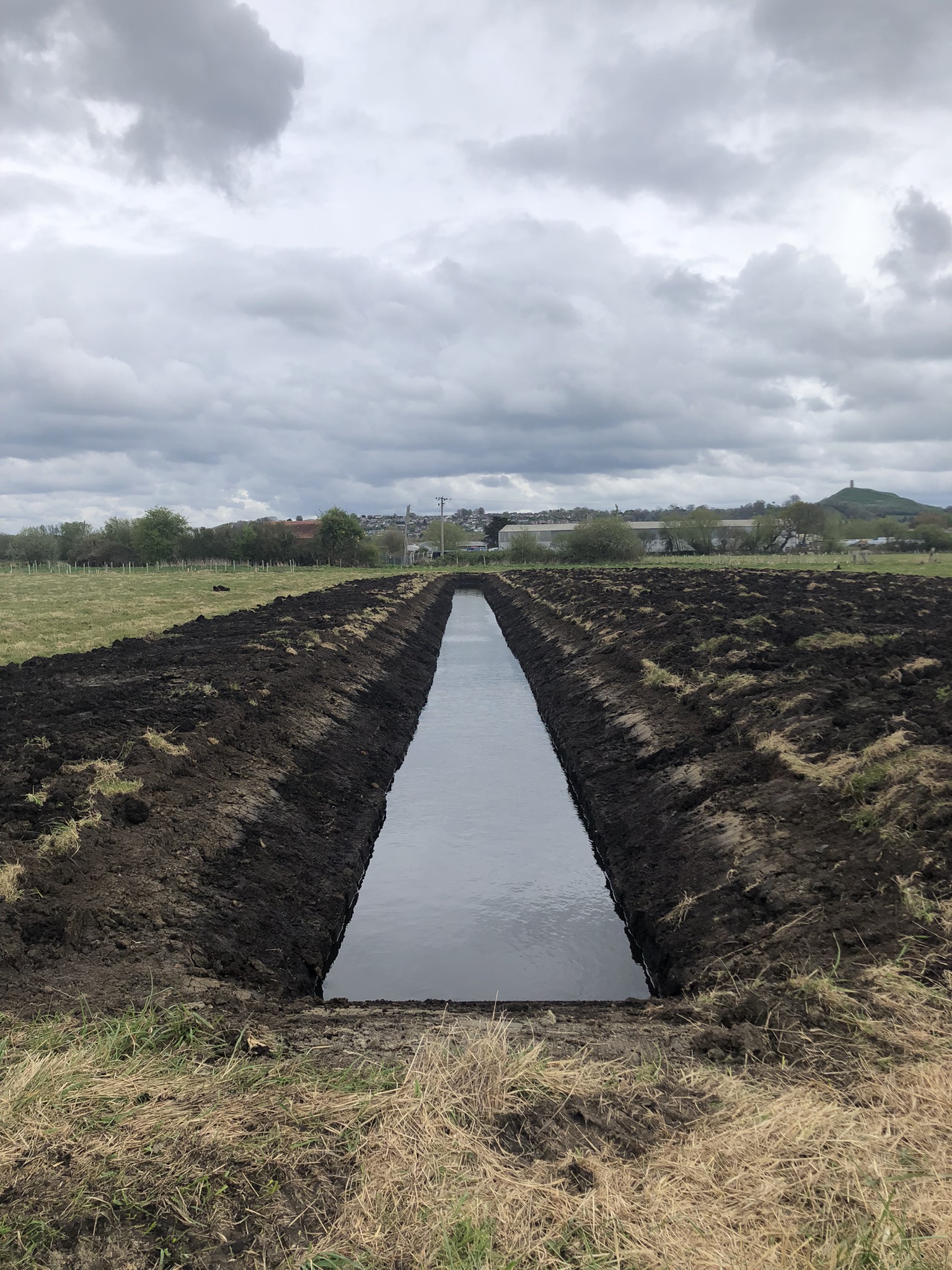 Update from Bridie’s Farm